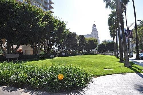 5th image of 388 E Ocean Blvd Unit 1509