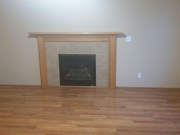 Gas Fireplace in Family Room
