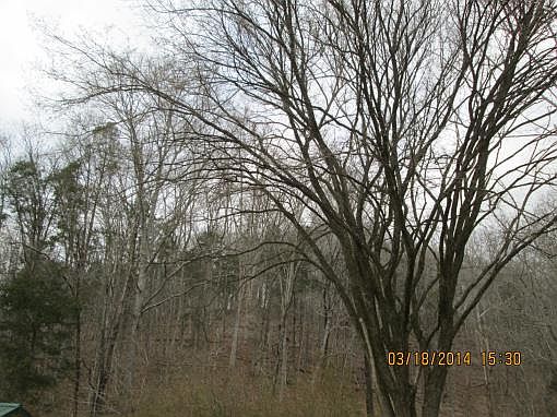 5th image of 5970 Old Highway 96