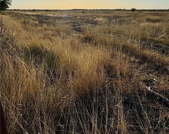 4th image of LOT 15 County Road 520