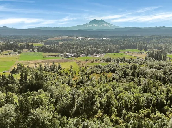 31208 Lebor Devore Road E, Eatonville, WA 98328