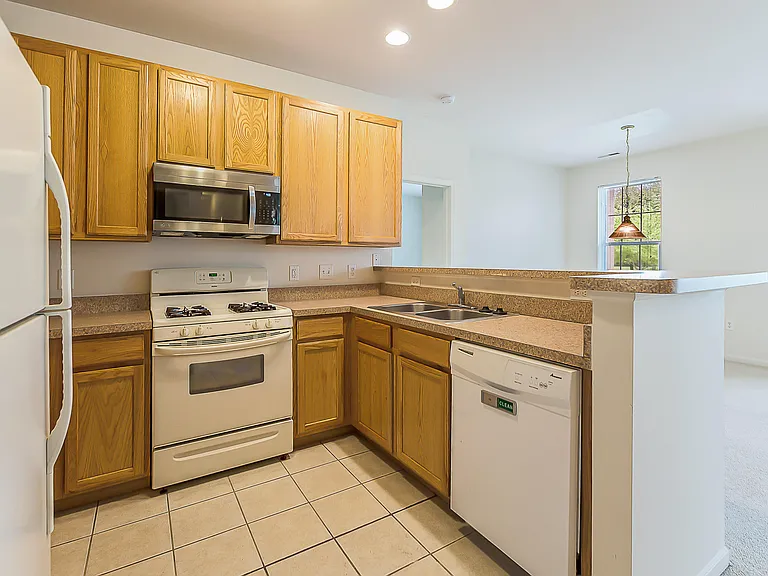 6385 Conifer Dr — Photo 11