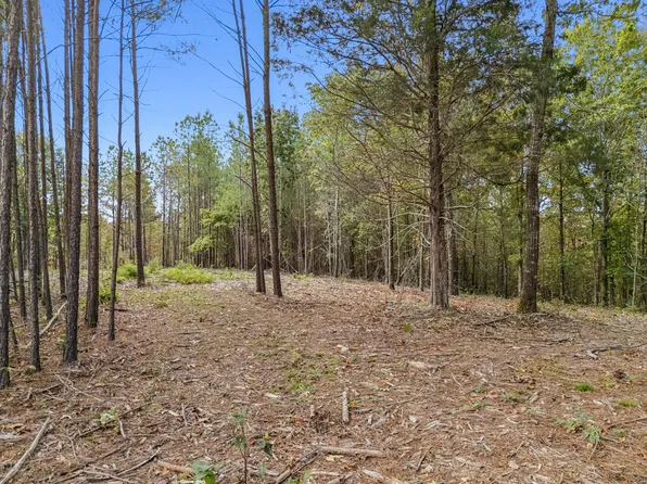 0 Old Mail Rd Lot 25, Duck River, TN 38454