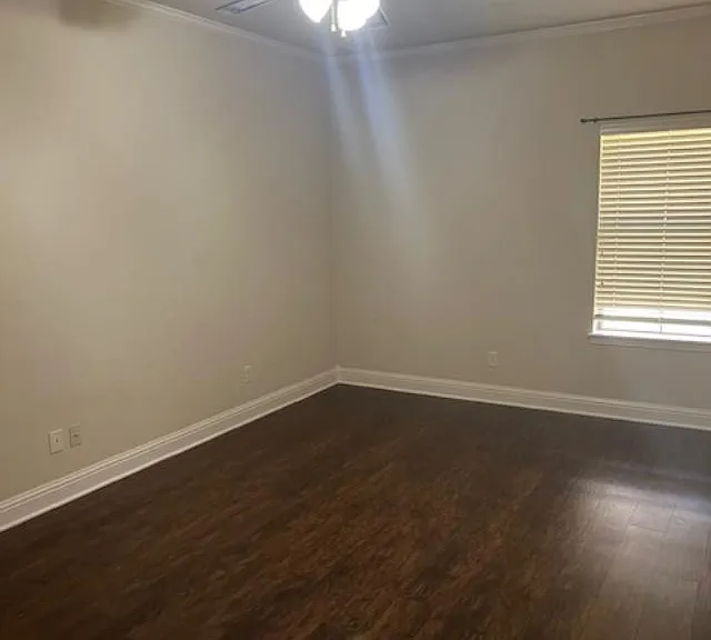 1001 Terra Pl — Photo 12