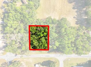 10441 N Biscayne Dr LOT 2, Dunnellon, FL 34434