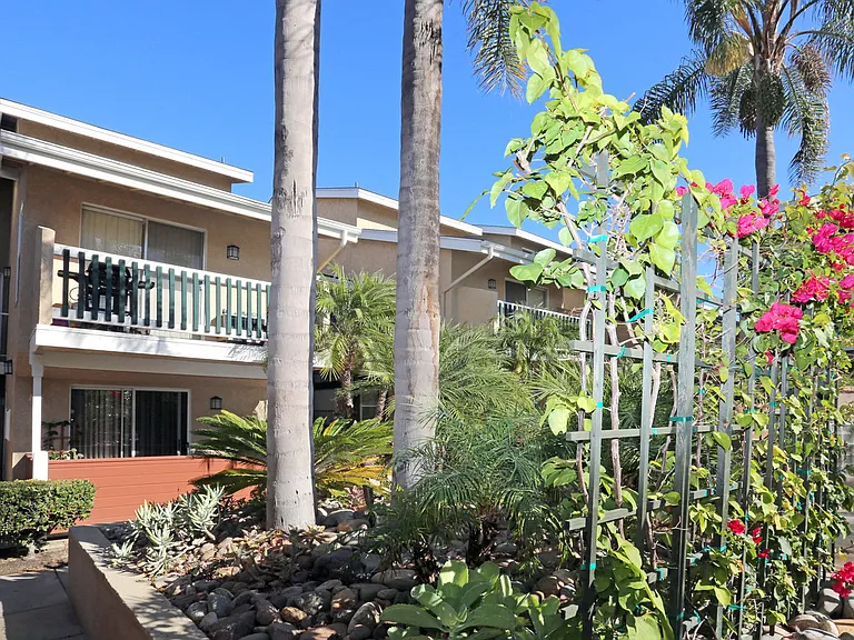 Viewing dwelling building through courtyard foliage