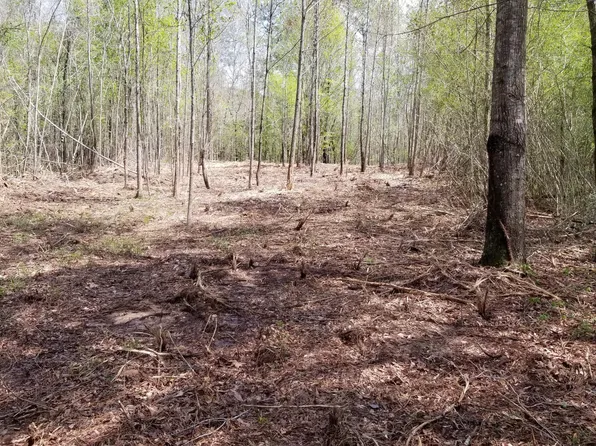 1108 Joe Dear Rd, Harrisville, MS 39082