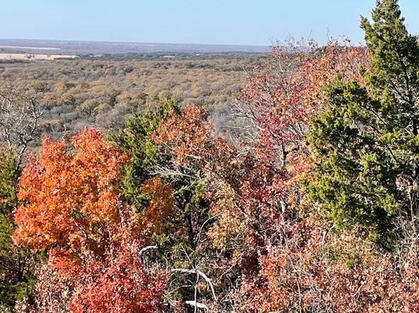 Pecan Shell Rd, Desdemona, TX 76445