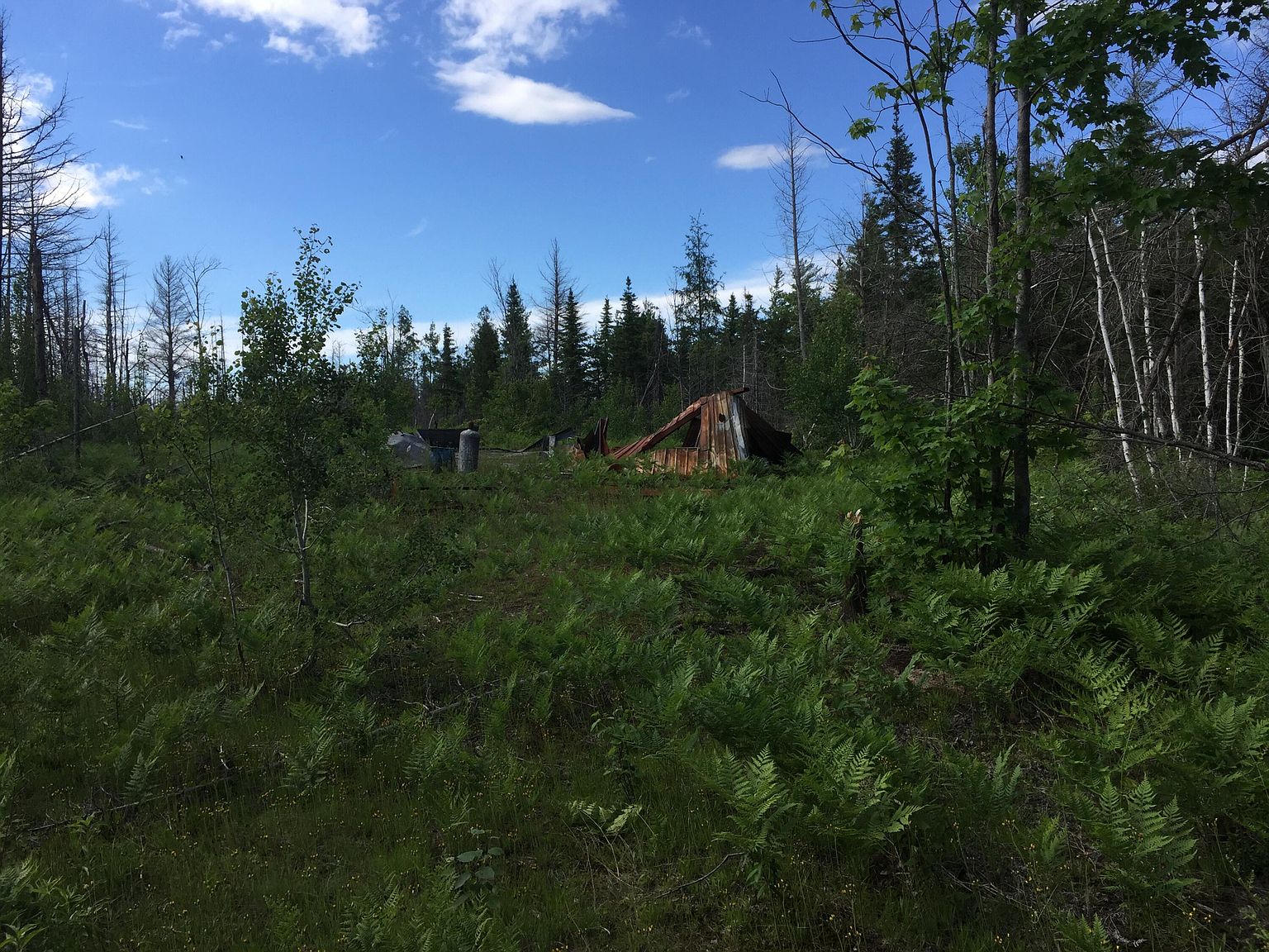 22850 Duck Lake Trl, Newberry, MI 49868 MLS 23483 Zillow