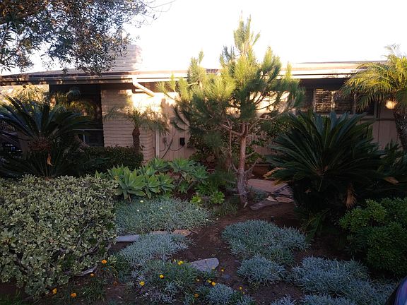 LUSH GREENERY AT THE FRONT OF PROPERTY