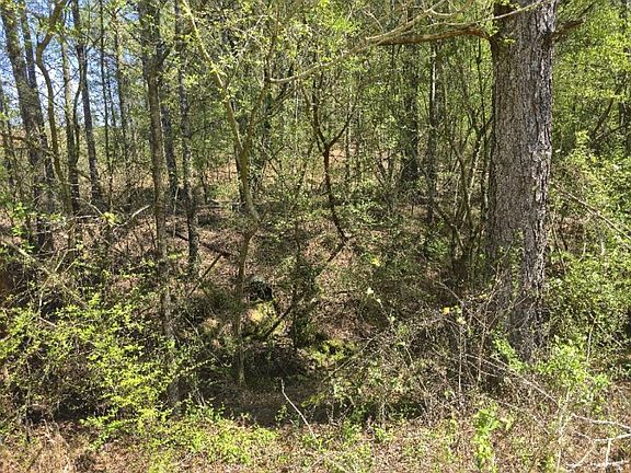 4th image of 91 Alabama Hwy