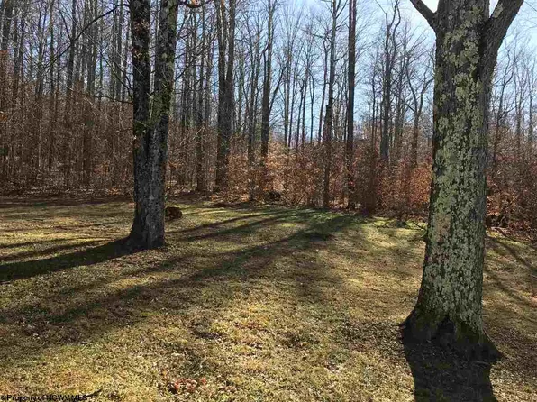 9 Winterset Dr, Davis, WV 26260