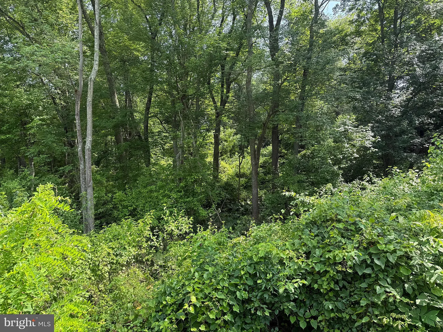 23 Creek Rd photo 1