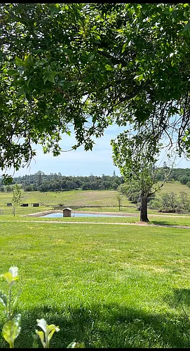 12620 Lone Star Rd Photo 1
