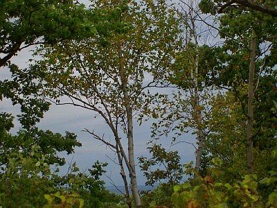 2nd image of Bluff Ledge Rd