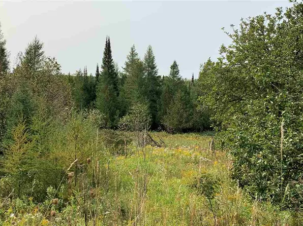 Evergreen Trl, Petoskey, MI 49770