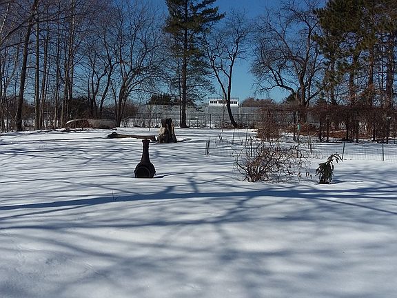 Snow covered backyard