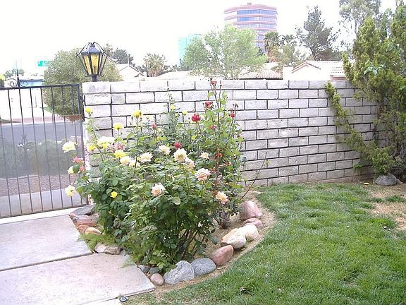 Courtyard area