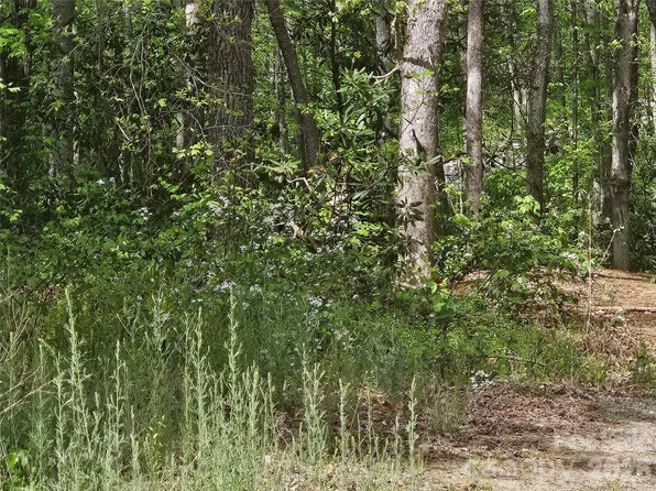 22 Graulich Ln #6, Candler, NC 28715