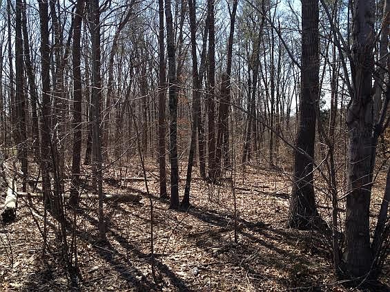 1st image of Lot 1 Fred Hinshaw Road