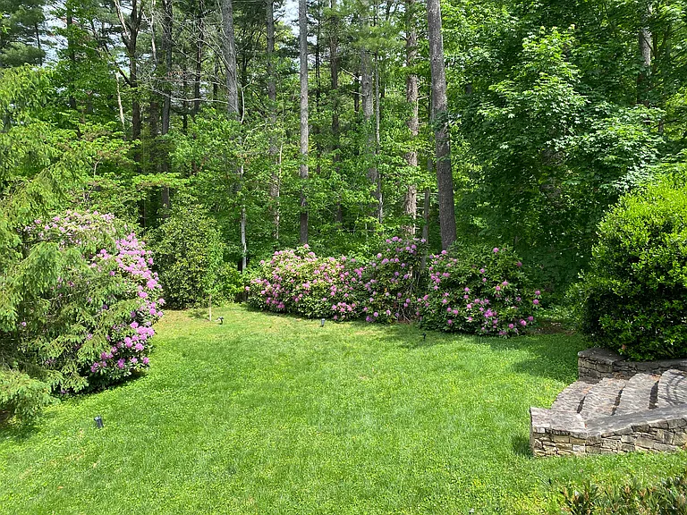 Large lower yard