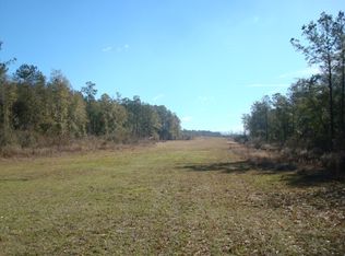 300 Jones Rd, Climax, GA 39834