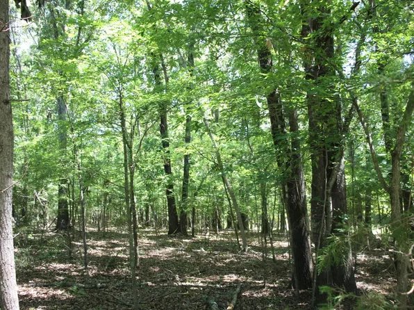 LOT 15 Mc 7075, Flippin, AR 72634