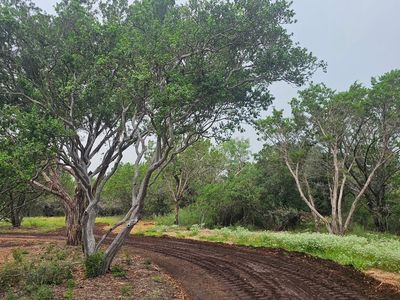 Cr 119, Burnet, TX, 78611