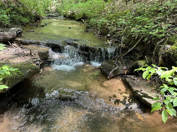 0 County Road 449, Haleyville, AL 35565