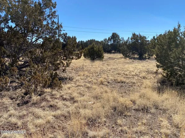 8465 Snowflake Circle #40, Show Low, AZ 85901