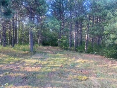 53XX Bergstopp Ln, Saginaw, MN, 55779