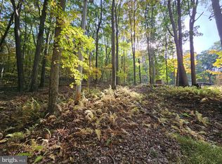 Bear Run Rd, Oakland, MD 21550