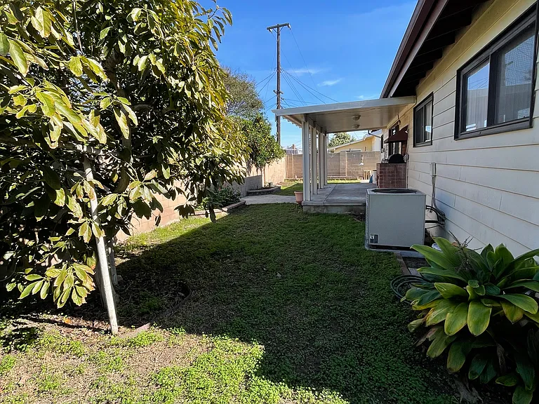 Backyard.