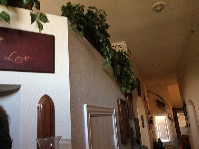 1st image of 4564 Wheatland Dr
