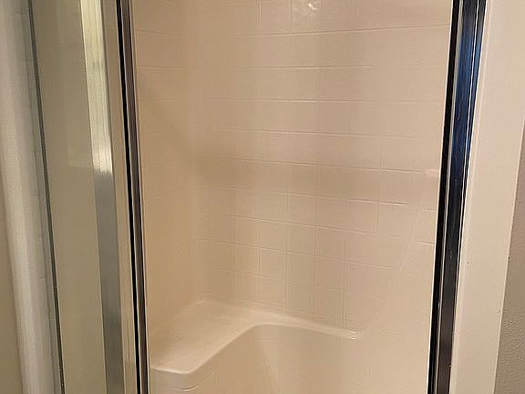 Master shower 