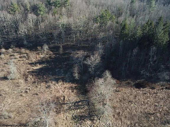 3rd image of 100 Jill Ln