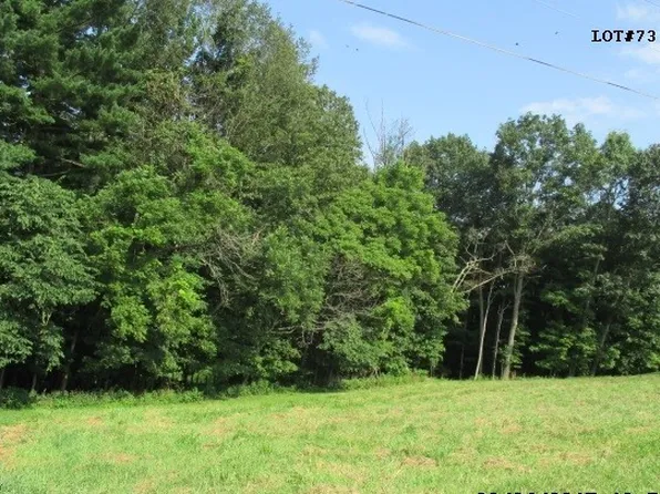 73 Gregg Ave, Bloomingdale, OH 43910