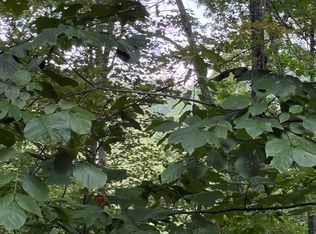 TRACT 4 Morgan Ridge Dr, Young Harris, GA 30582