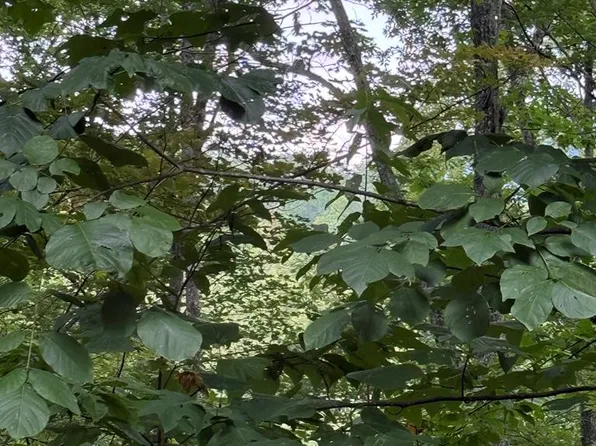 TRACT 4 Morgan Ridge Dr, Young Harris, GA 30582