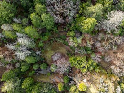 35580 N Highway 101, Willits, CA, 95490