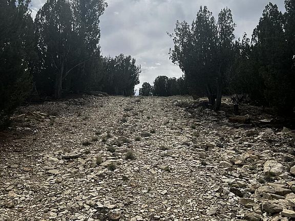 2nd image of 6045 Reno Rd