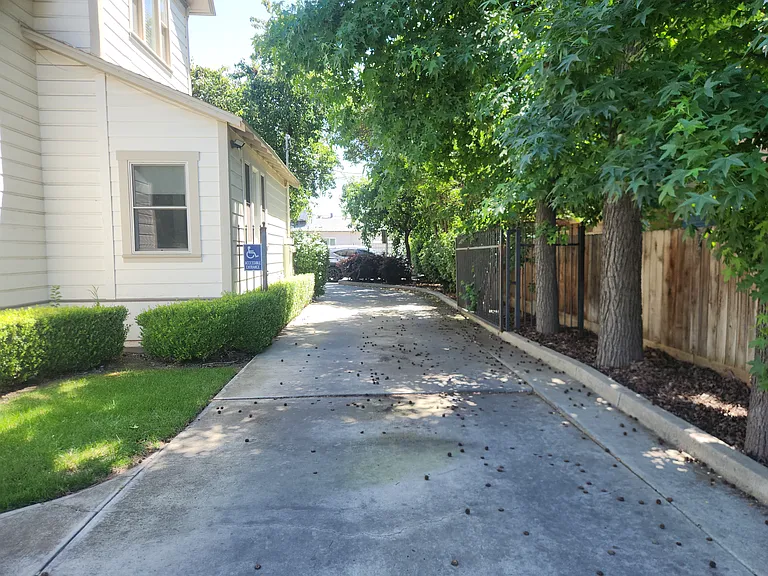 Driveway