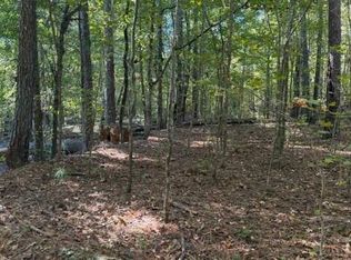 297 Burg Rd, Jenkinsburg, GA 30234