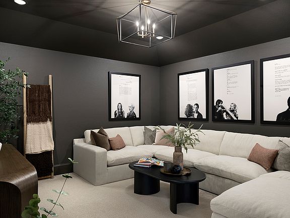 Hayden Media Room