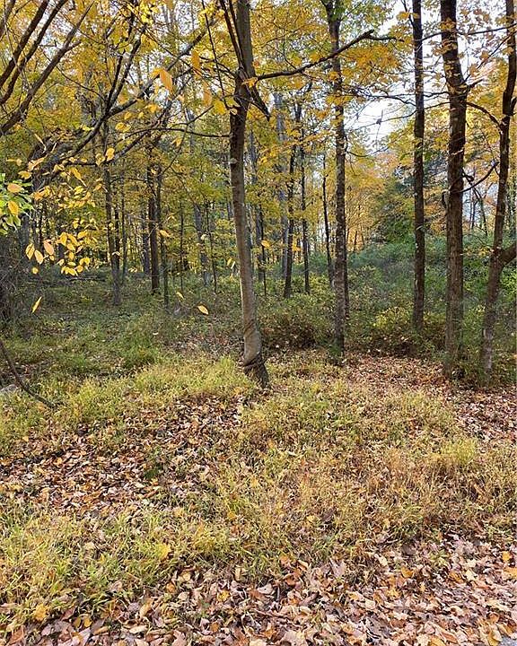 1st image of 0000 Hall Lane