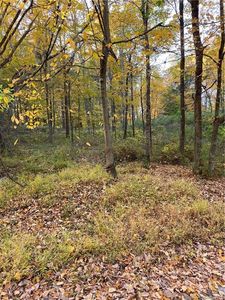 0000 Hall Lane, New Milford, CT, 06776