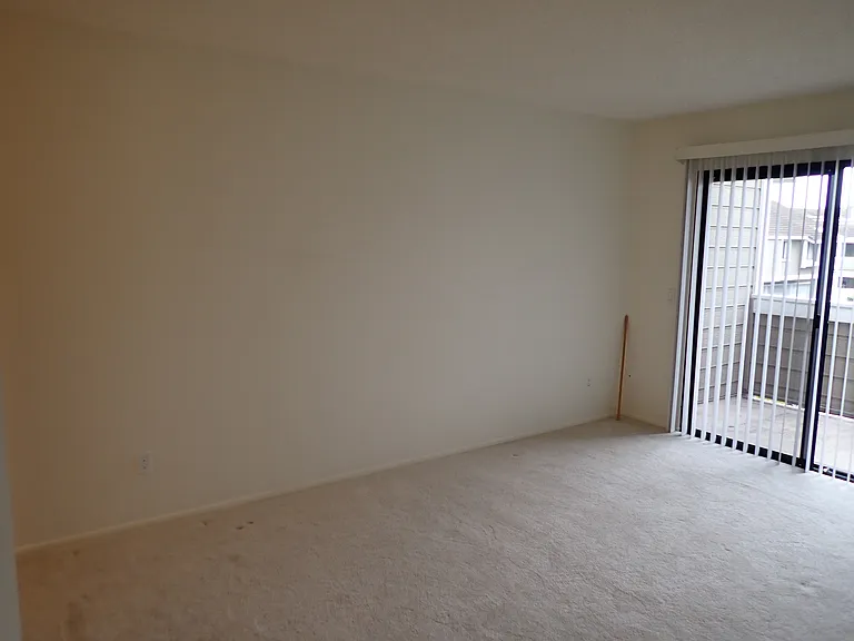 36 Rambling Ln — Photo 15