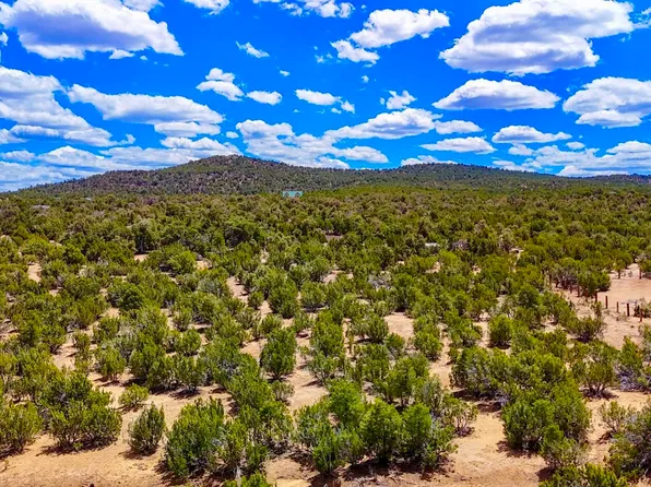 15 County Rd, Concho, AZ 85924