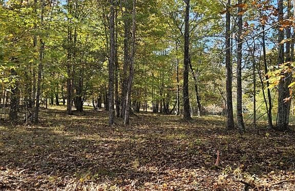 4th image of 515 Wilderness Way Lot 515