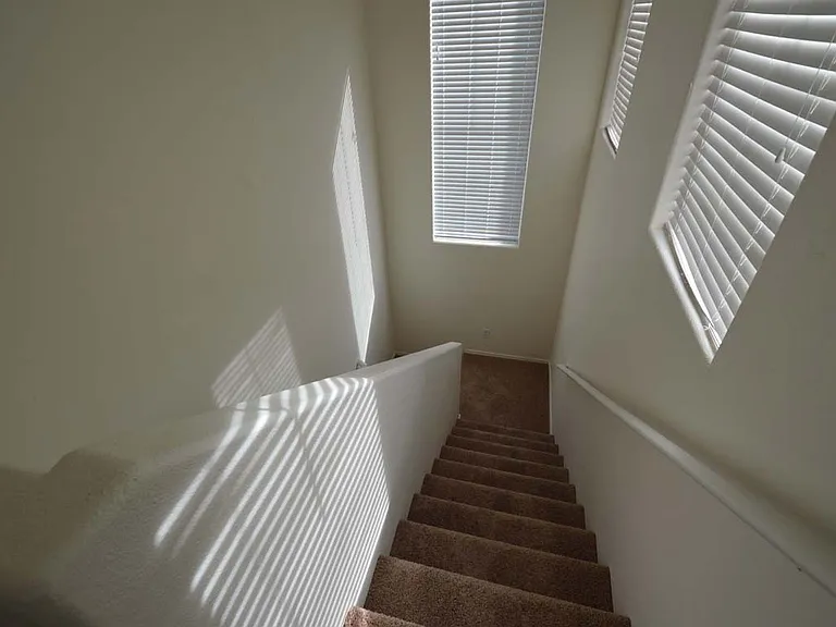 6670 Tulip Falls Dr — Photo 44